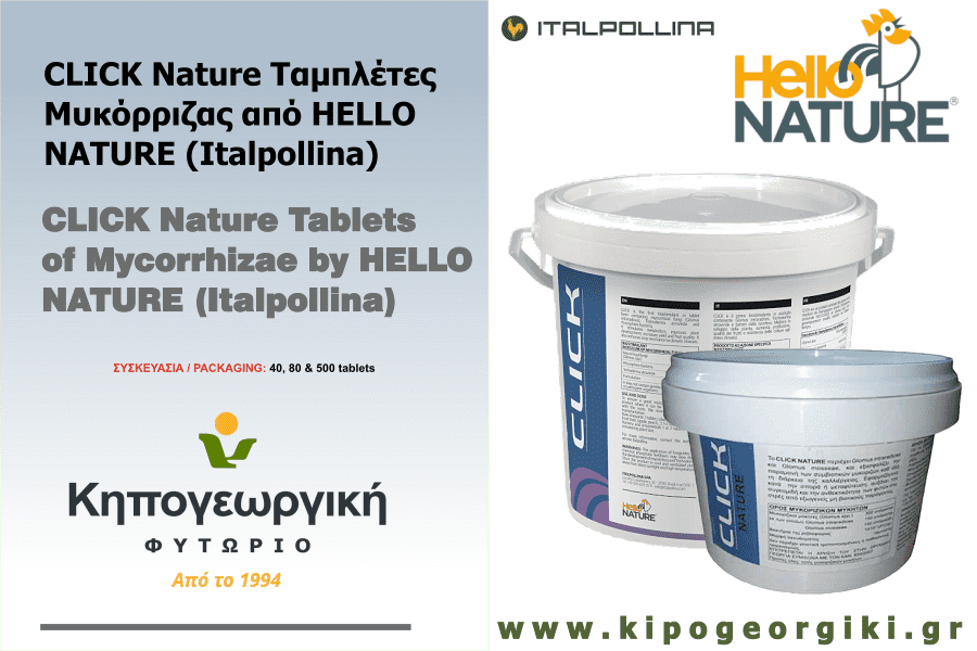 CLICK Nature Ταμπλέτες Μυκόρριζας από HELLO NATURE